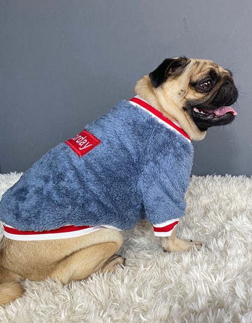 Load image into Gallery viewer, Pet sweater
