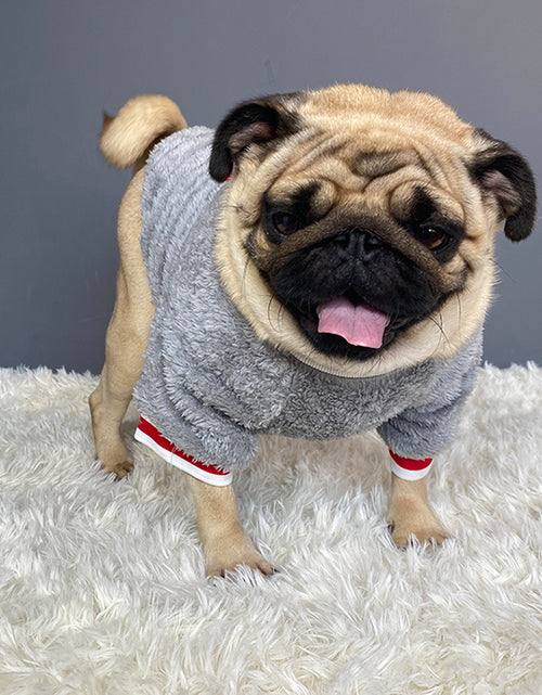 Load image into Gallery viewer, Pet sweater
