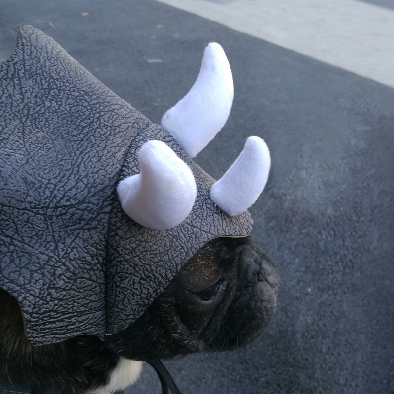 Pet Triceratops Dog Dinosaur Hat Pet Cat Dog Hat Pet Transformation Cap Pet Headgear Costume