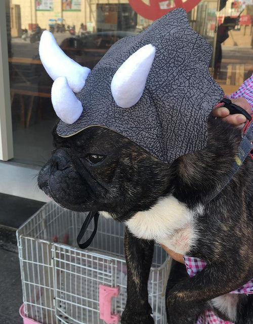 Load image into Gallery viewer, Pet Triceratops Dog Dinosaur Hat Pet Cat Dog Hat Pet Transformation Cap Pet Headgear Costume
