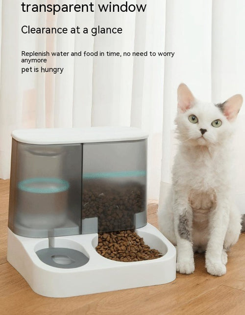 Load image into Gallery viewer, Pet Visual Automatic Pet Feeder
