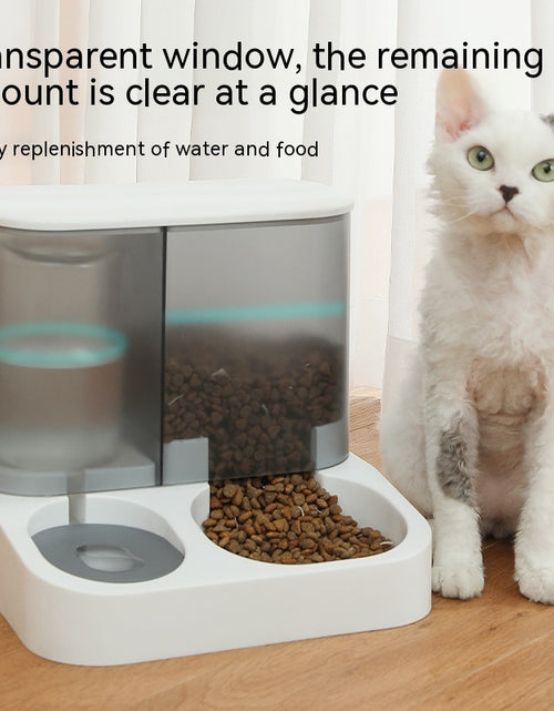 Load image into Gallery viewer, Pet Visual Automatic Pet Feeder
