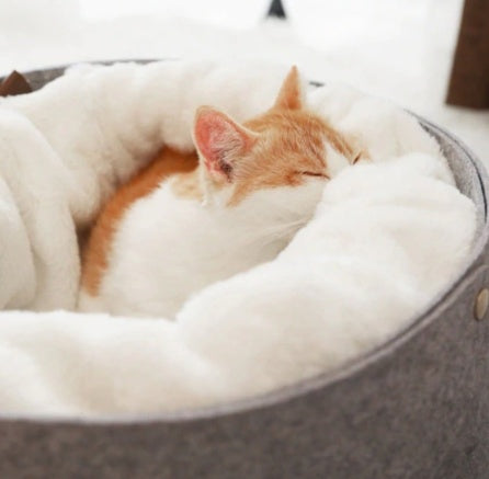 Load image into Gallery viewer, pet bed
