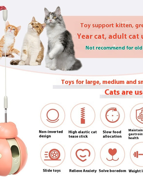 Load image into Gallery viewer, Pets Supplies Toys For Relieving Stuffy And Funny Cat Food Leakage Pet Products
