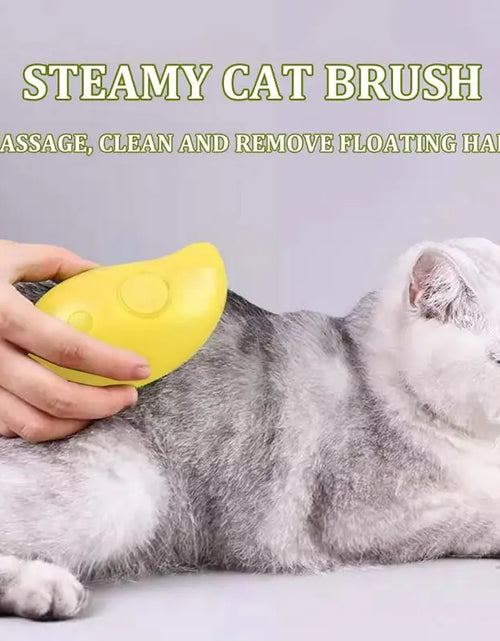 Load image into Gallery viewer, Steamy Dog Brush Electric Spray Cat Hair Brush 3 In1 Dog Steamer Brush for Massage Pet Grooming Removing Tangled and Loose Hair
