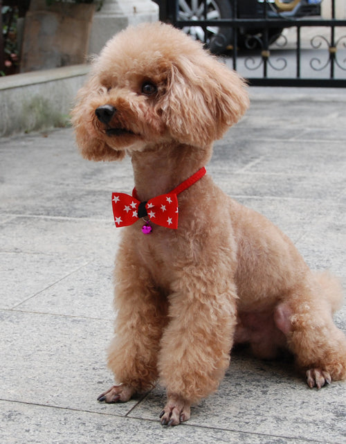 Load image into Gallery viewer, Pet accessories pet bow
