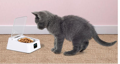 Load image into Gallery viewer, Pet 5G Bowl Automatic Pet Feeder
