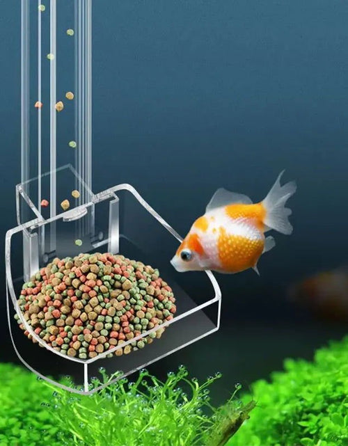 Load image into Gallery viewer, Aquarium Acrylic Feeding Tube Anti-Stuck Fish Design Transparent Fish Feeder Suitable for a Variety of Fish Tanks 2668south
