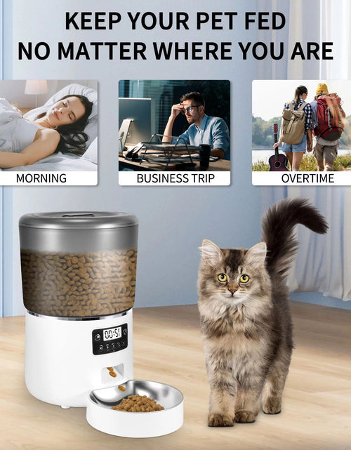 Load image into Gallery viewer, Automatic Cat Feeder, 4L Dual Power Pet Feeder Automatic Dry Food Dispenser, Control 1-4 Meals a Day, Automatic Dog Feeder 2668south
