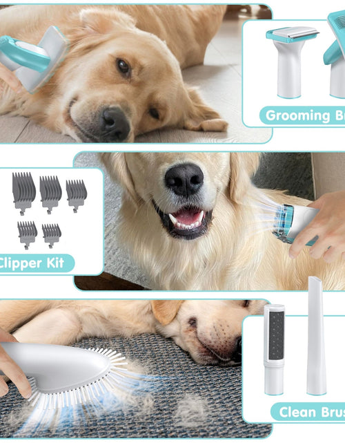 Load image into Gallery viewer, Dog Grooming Kit Vacuum, 6 in 1 Pet Grooming Vacuum, 11000PA Dog Clippers for Grooming, Dog Vacuum for Shedding Grooming, Suction 99% Dog Hair, Low Noise Pet Vacuum Grooming Kit for Dog Cat 2668south
