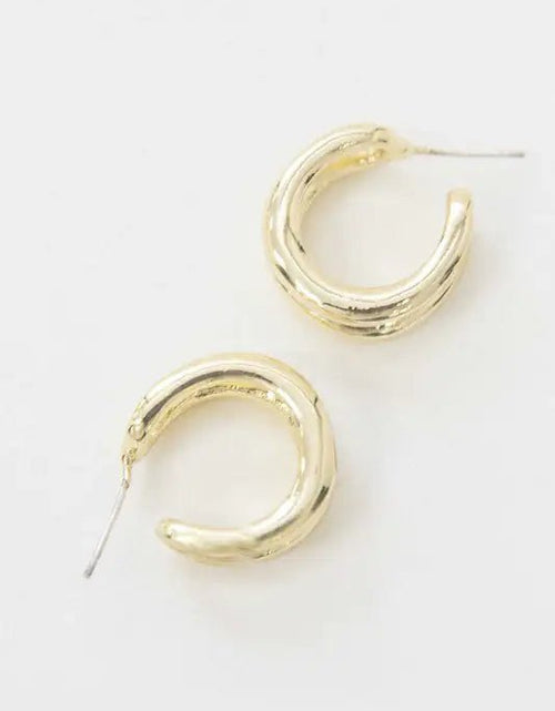 Load image into Gallery viewer, Double Hoop Earrings 2668south
