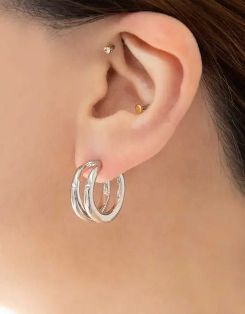 Load image into Gallery viewer, Double Hoop Earrings 2668south
