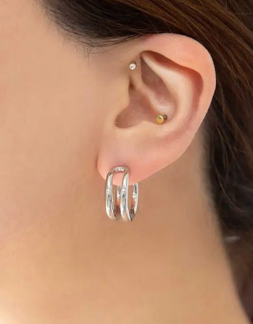 Load image into Gallery viewer, Double Hoop Earrings 2668south
