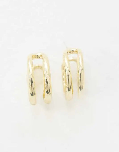 Load image into Gallery viewer, Double Hoop Earrings 2668south
