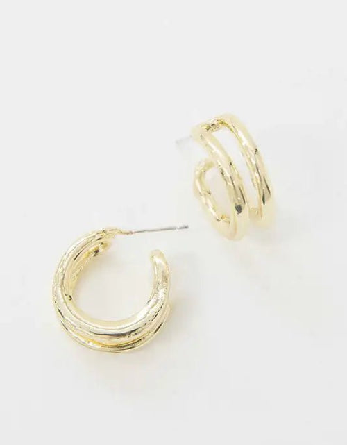 Load image into Gallery viewer, Double Hoop Earrings 2668south
