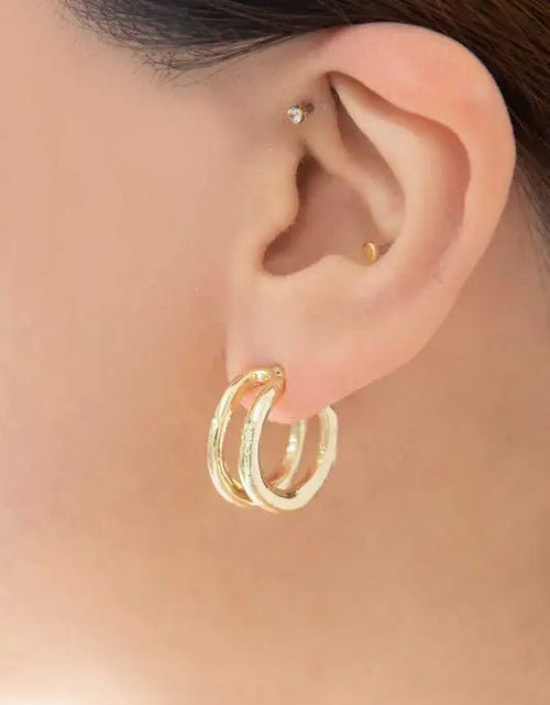 Load image into Gallery viewer, Double Hoop Earrings 2668south
