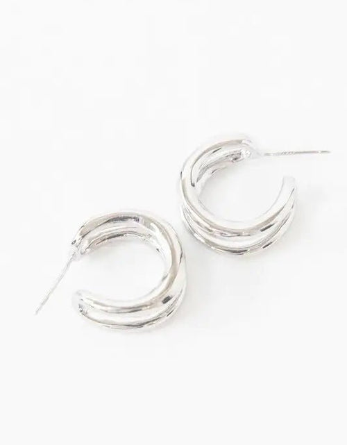 Load image into Gallery viewer, Double Hoop Earrings 2668south
