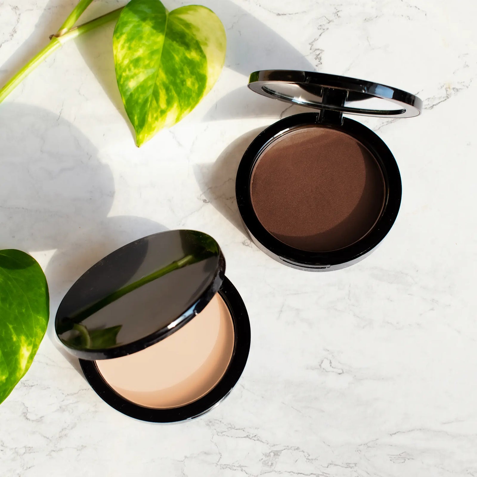 Dual Blend Powder Foundation - Fig 2668south