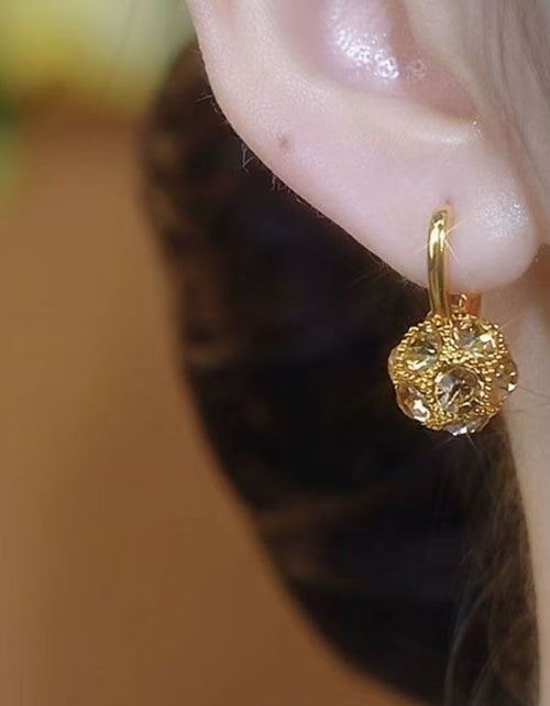 Load image into Gallery viewer, Fashion Brown Rhinestone Ball Earrings Female Niche 2668south
