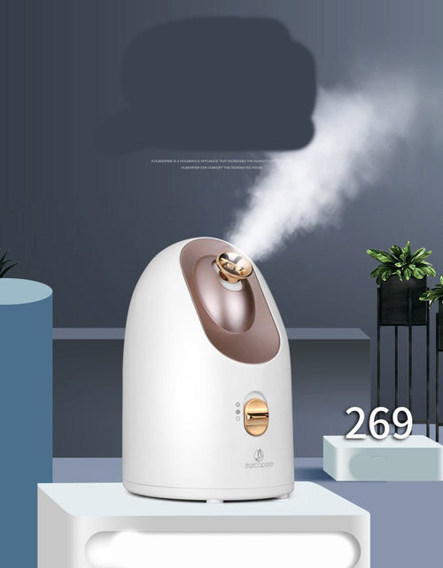 Load image into Gallery viewer, Hot and cold face steamer 2668south
