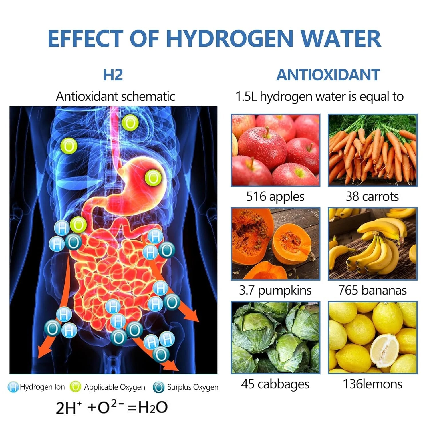 Hydrogen Water Bottle - Ultimate Hydration and Wellness Solution 2668south