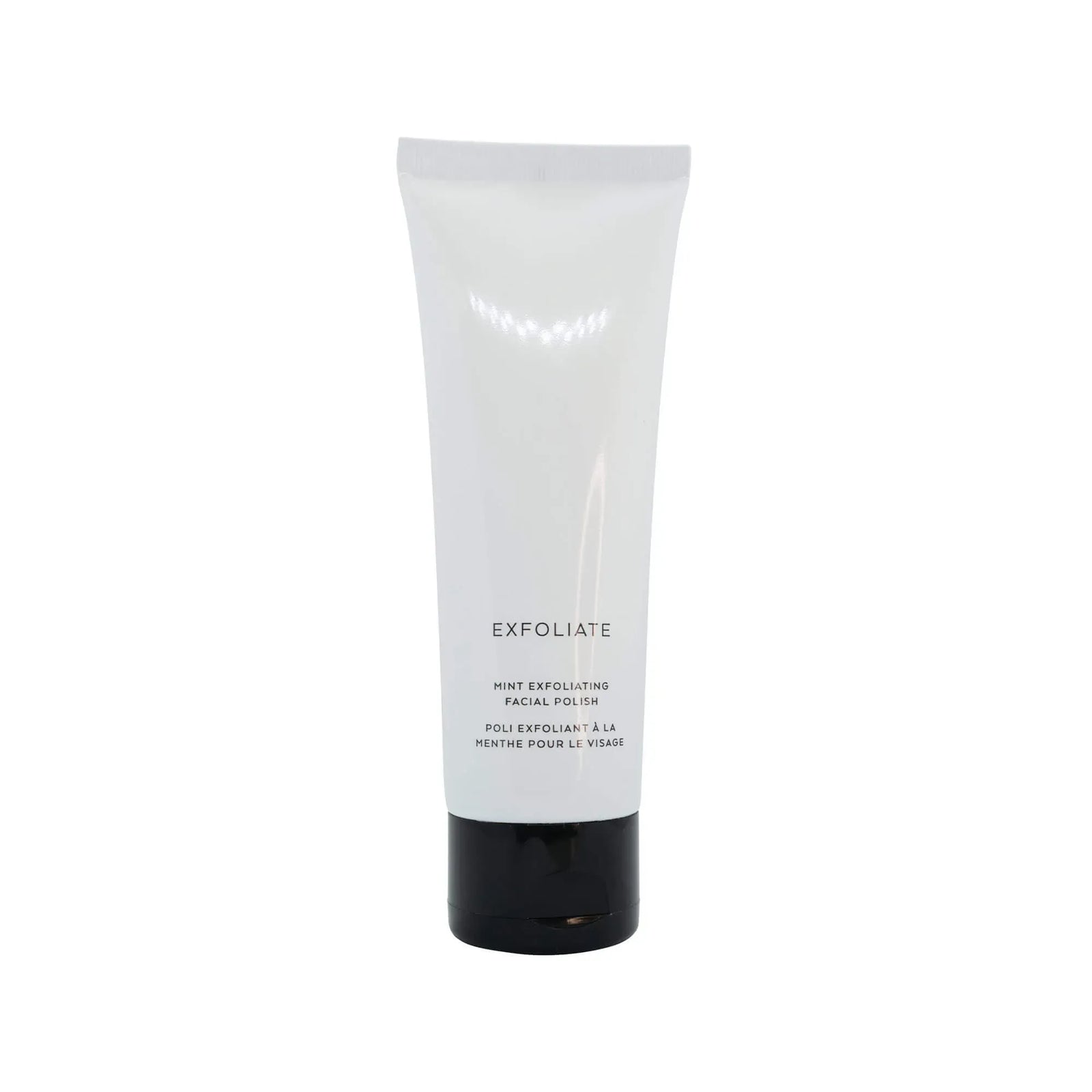 Mint Exfoliating Facial Polish 2668south