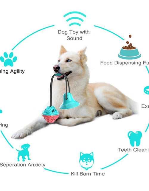 Load image into Gallery viewer, Molar Bite Interactive Dog Toy with Durable Rope and Suction Cup for Pulling/Chewing/Teeth Cleaning Self Playing Tog for Dogs 2668south
