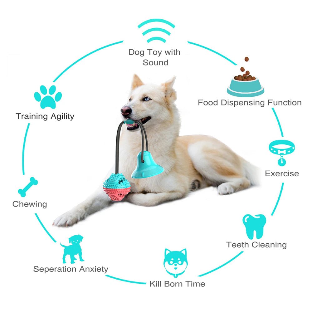 Molar Bite Interactive Dog Toy with Durable Rope and Suction Cup for Pulling/Chewing/Teeth Cleaning Self Playing Tog for Dogs 2668south