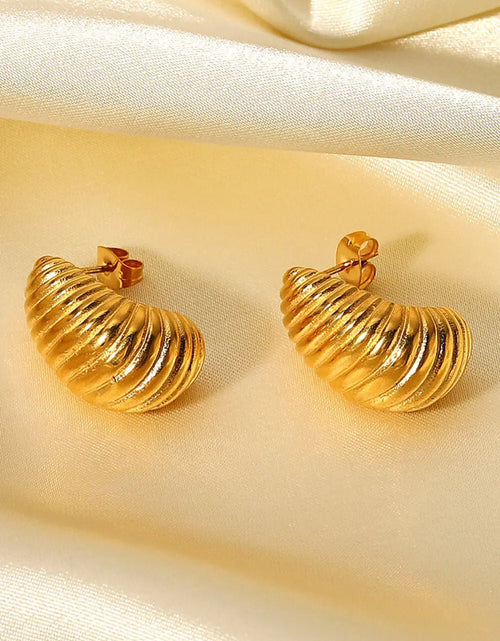 Load image into Gallery viewer, Shell Shore Spiral Stud Earrings 2668south
