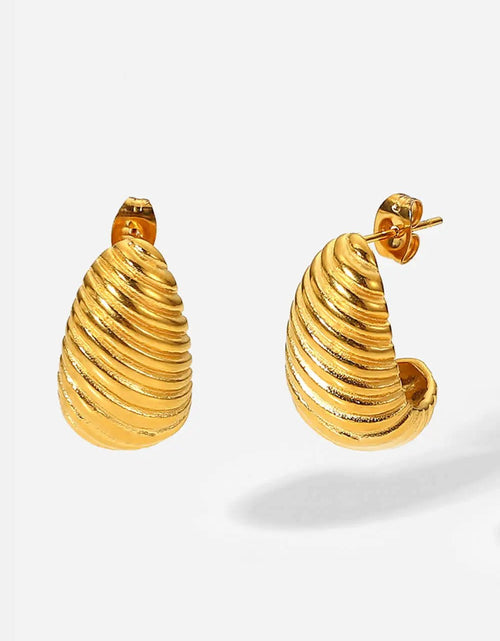 Load image into Gallery viewer, Shell Shore Spiral Stud Earrings 2668south
