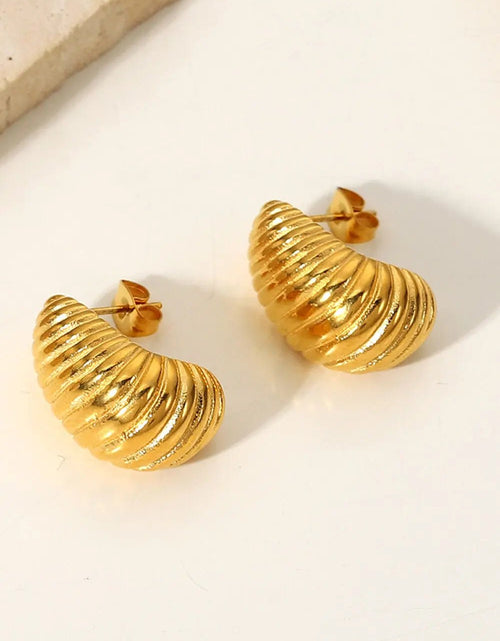 Load image into Gallery viewer, Shell Shore Spiral Stud Earrings 2668south
