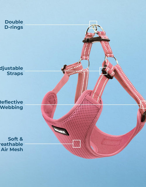 Load image into Gallery viewer, Voyager by - Fully Adjustable Step-In Mesh Harness with Reflective 3M Piping 2668south
