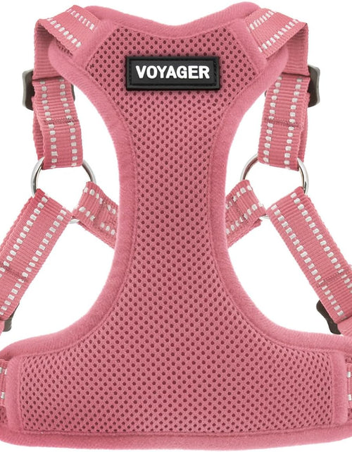 Load image into Gallery viewer, Voyager by - Fully Adjustable Step-In Mesh Harness with Reflective 3M Piping 2668south
