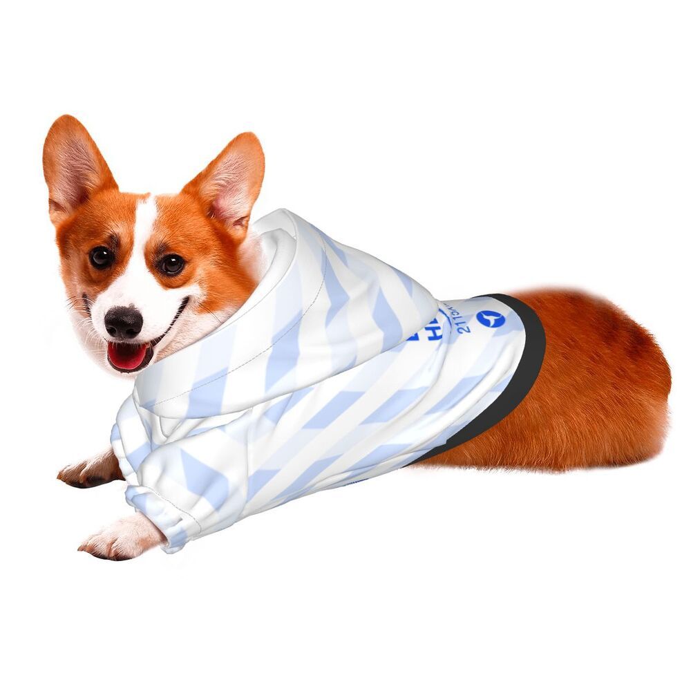 Small Pet Hooded Sweater Pet Clothing