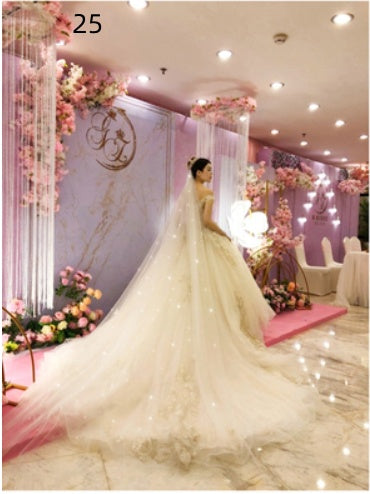 Load image into Gallery viewer, Bridal Wedding Dress Long Tail Luxury Super Fairy Wedding Veil
