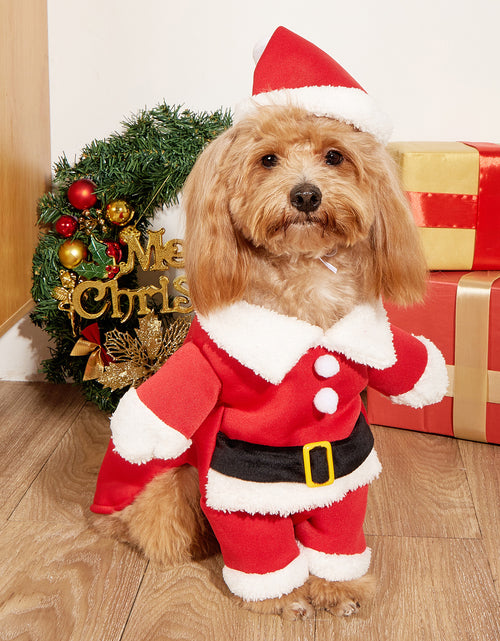 Load image into Gallery viewer, Christmas Pet Small Dog Pet Costume
